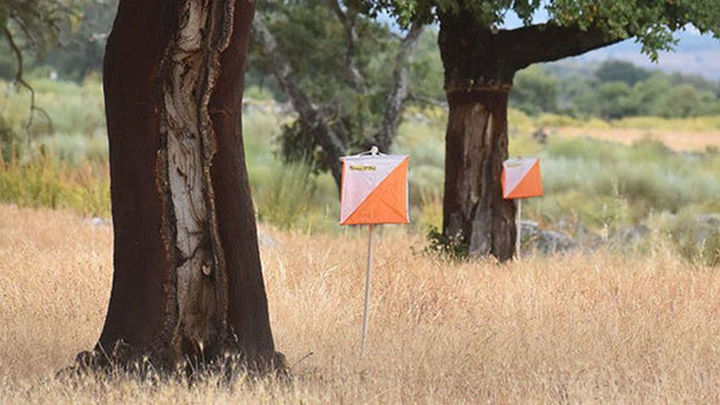 Balizas de orientación en mitad del campo / FEDO