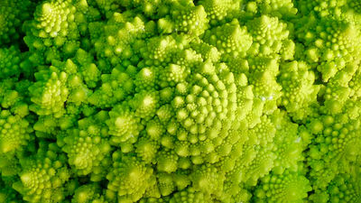 Diez alimentos para mantener a raya el sobrepeso