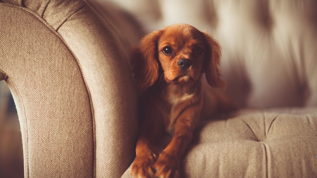 Muebles a precio de chollo en la calle Marcelo Usera