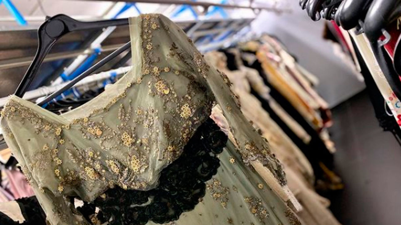 Cornejo, un siglo vistiendo a los personajes más emblemáticos del cine y la televisión