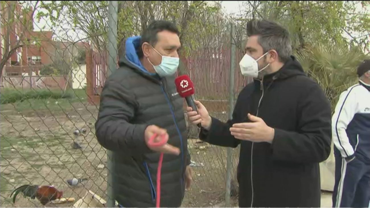 Pelea de gallos vecinal en Villaverde