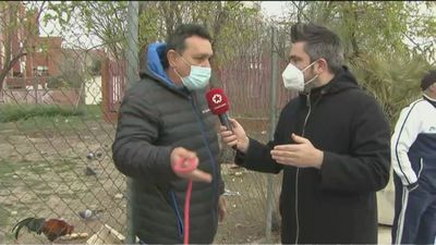 Pelea de gallos vecinal en Villaverde