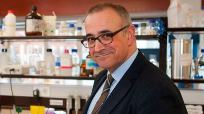 López Goñi: “Veremos una cuarta ola y su virulencia dependerá de las medidas que se adopten”