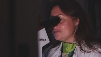 Laura García Bermejo, la primera mujer en dirigir el Instituto Ramón y Cajal