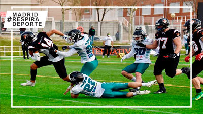 Las Rozas Black Demons ante los Gijón Mariners, Osos Rivas ante Fuengirola Potros