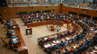 Vox recurre la admisión a trámite de las mociones de censura contra Ayuso