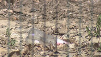 La Policía desaloja un botellón con 80 jóvenes en la Universidad de Somosaguas en Pozuelo