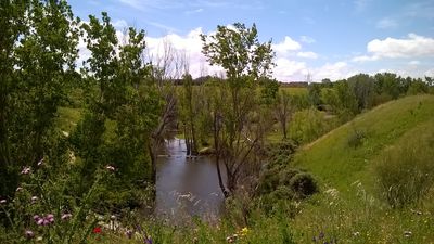 Madrid unirá zonas verdes y recuperará otras degradadas para crear el Bosque Metropolitano