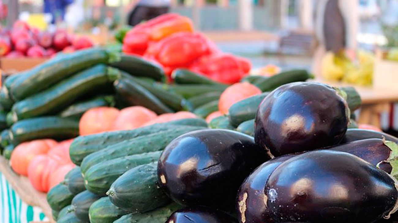 Las Rozas acoge  la Feria Verde del Medio Ambiente y la Ecología