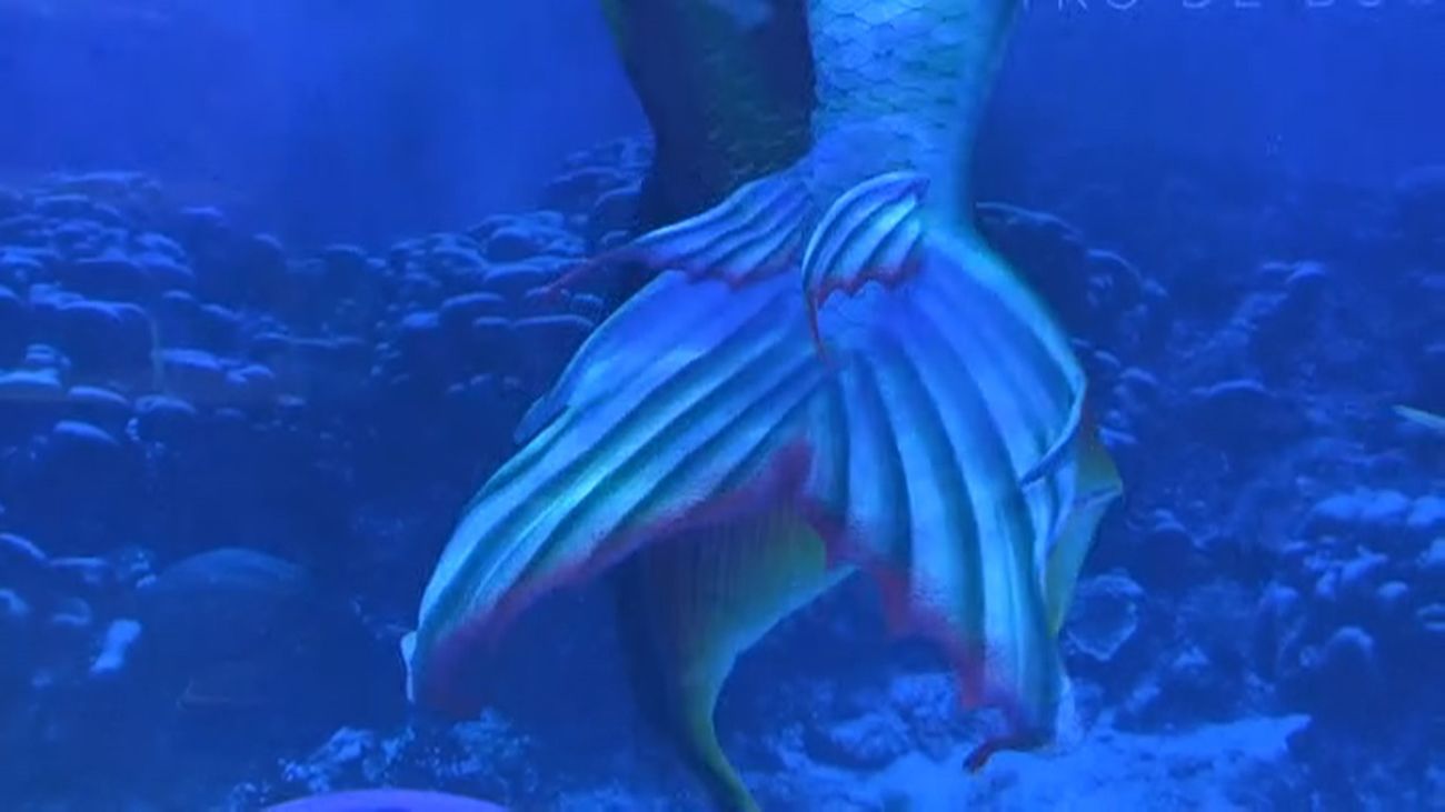 Aprendemos a nadar como auténticas sirenas, en Alcorcón