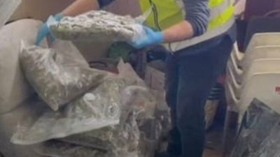 Ocho detenidos con 28 kilos de marihuana en una nave industrial de Coslada