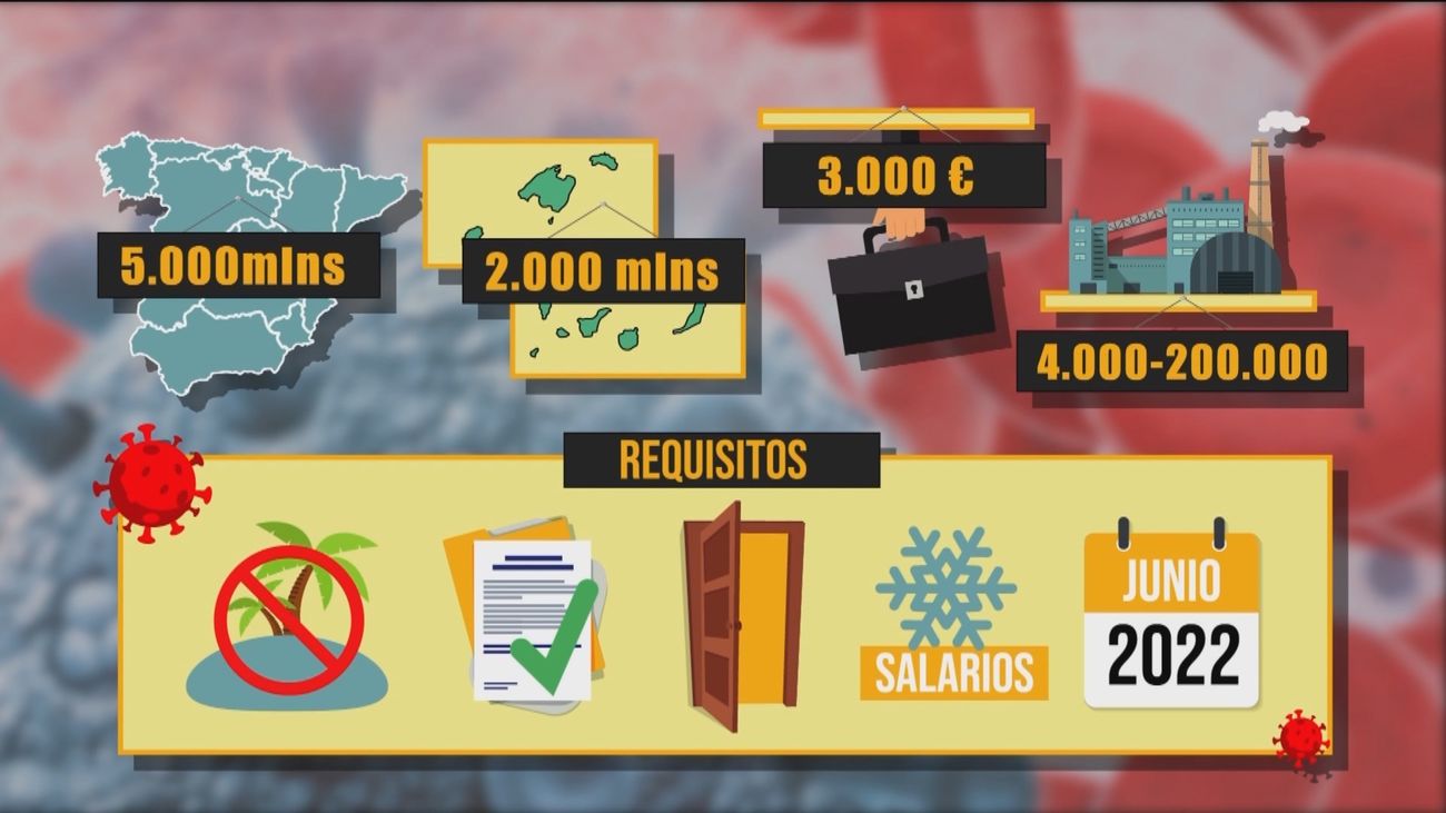 ¿De cuánto serán las ayudas a autónomos y empresas y cuáles son los requisitos para pedirlas?