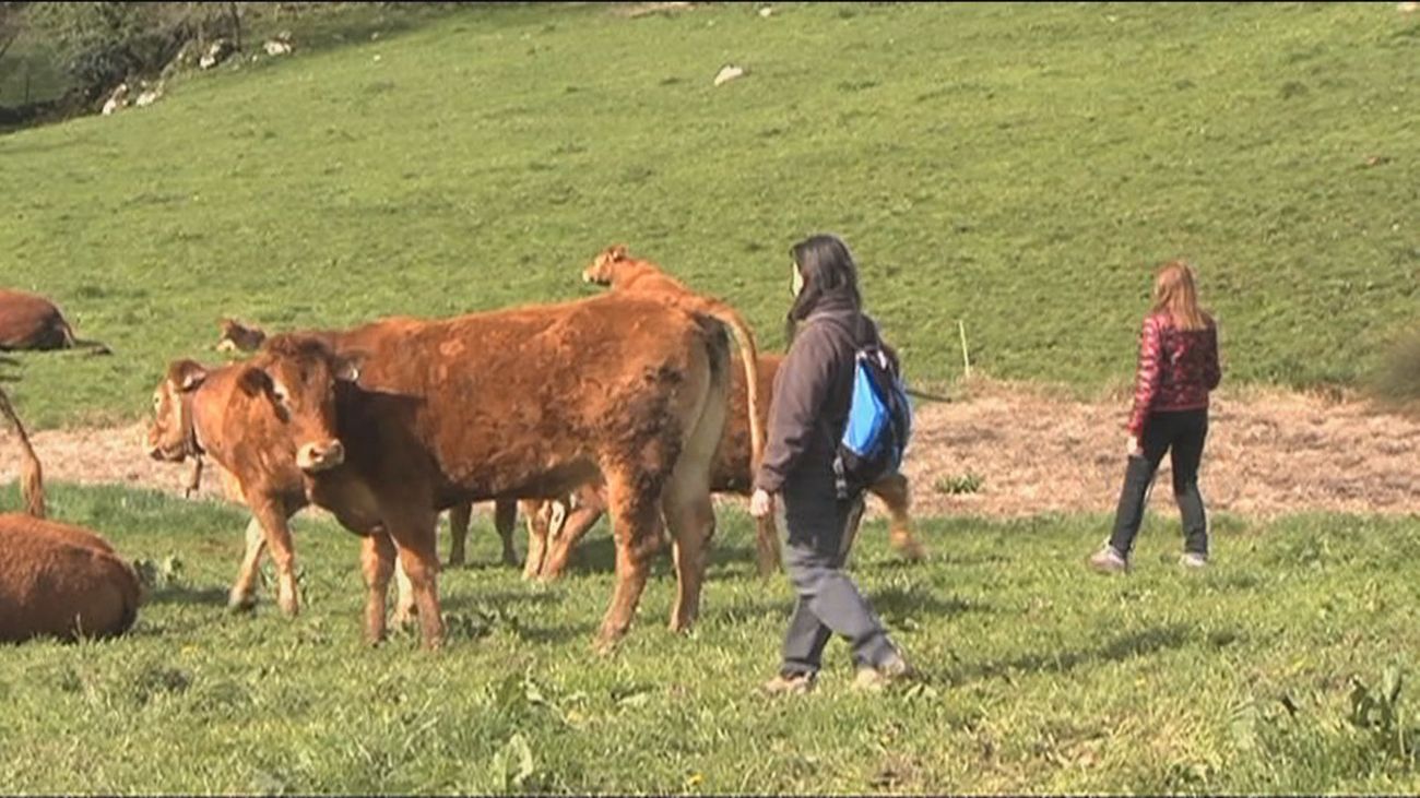 Cantabria abre la primera escuela de pastoras
