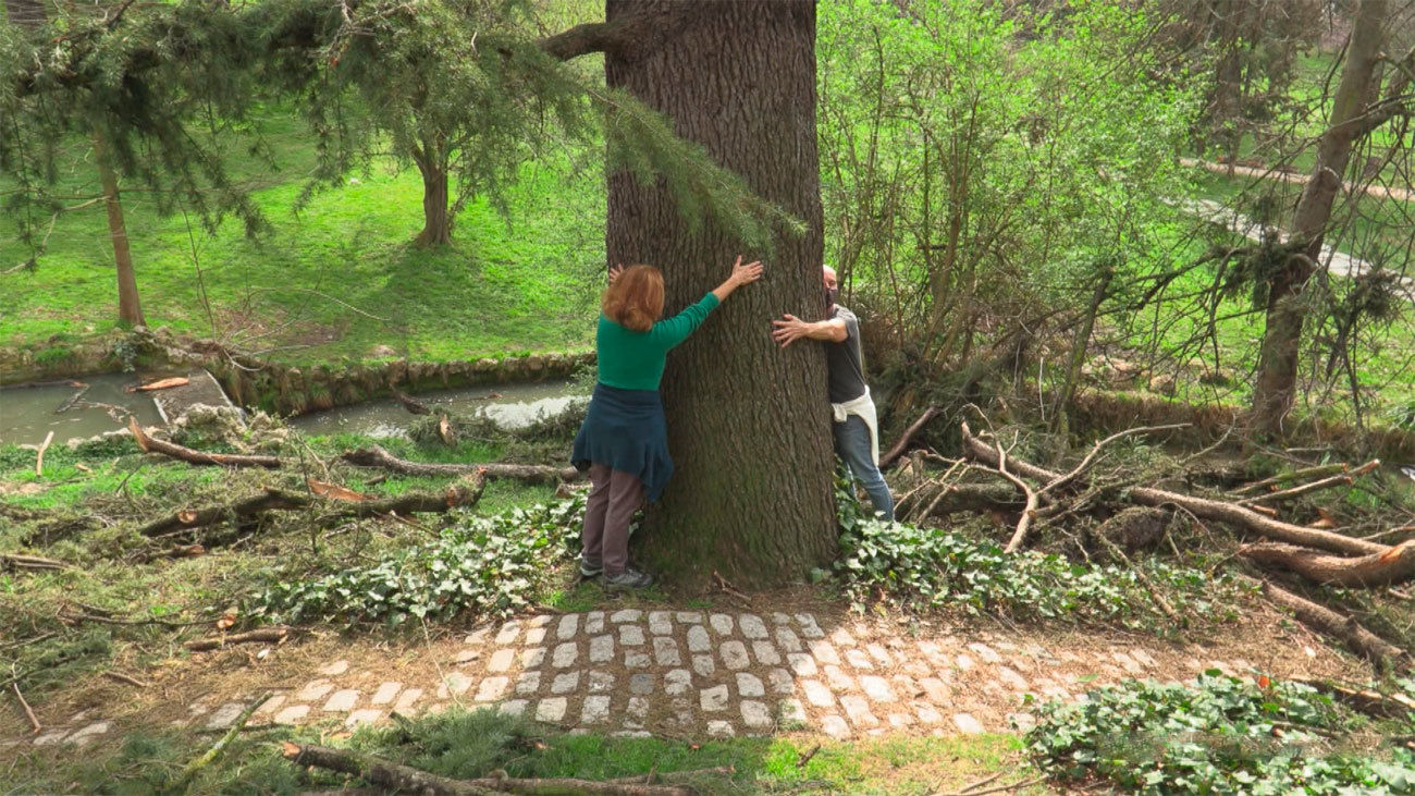 Mi cámara y yo: Parques históricos de Madrid