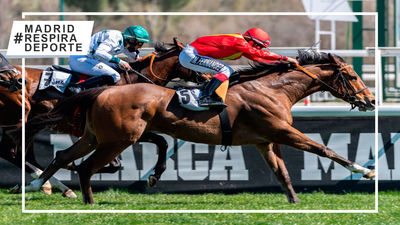 Sallab, gran triunfador en la tercera jornada de primavera del Hipódromo de la Zarzuela