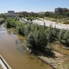 La renaturalización del Manzanares, premio de la Federación Española de Municipios