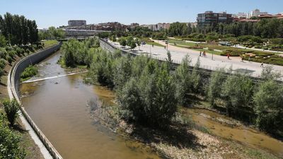 La renaturalización del Manzanares, premio de la Federación Española de Municipios