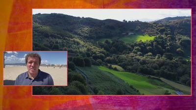 España, cada vez más verde por el crecimiento de su masa forestal