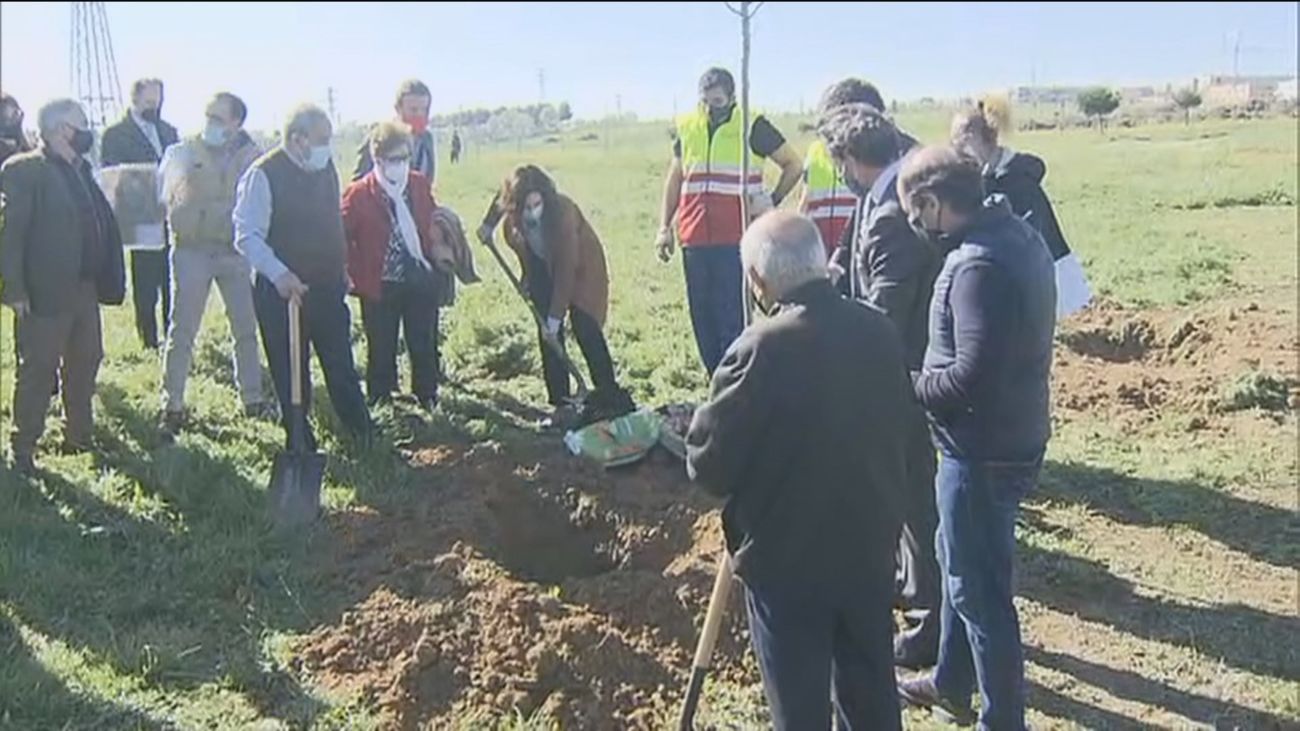El Parque de la Alhóndiga contará con un biobosque con jardín de mariposas, 150 nuevos árboles y 600 arbustos
