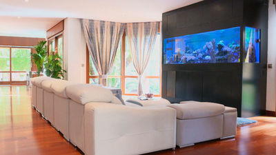 Tener un acuario de 2.500 litros en el salón de casa