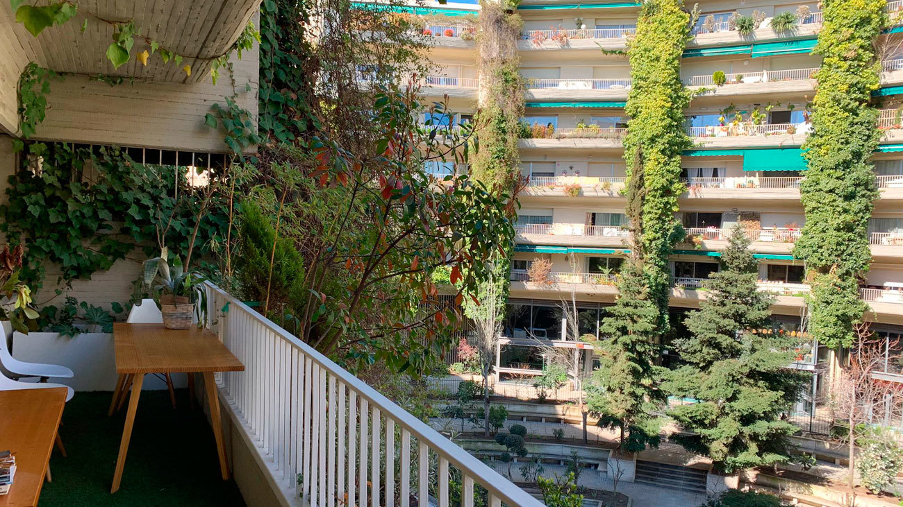 Así son las casas del edificio Princesa de San Bernardo