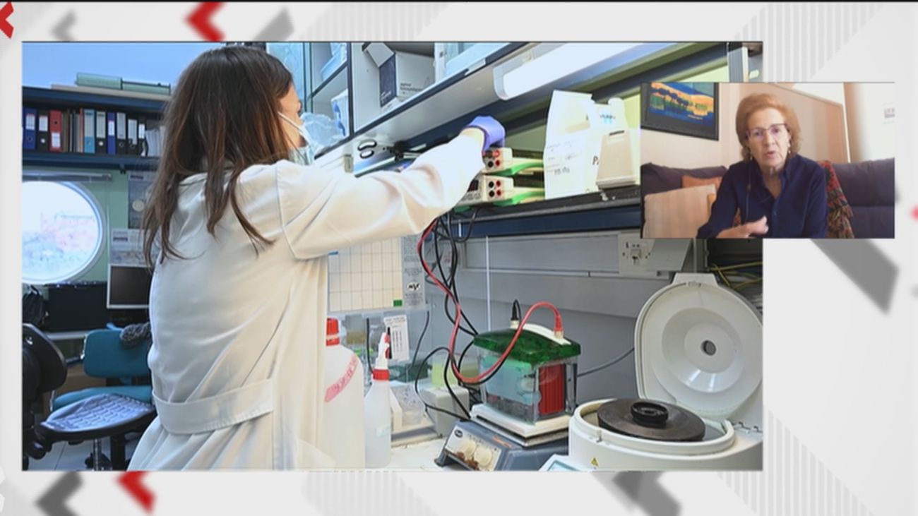 Margarita del Val apunta que la cuarta ola no será tan grave mientras sigamos evitando los contactos