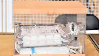 Los bulos en la precampaña electoral del 4M