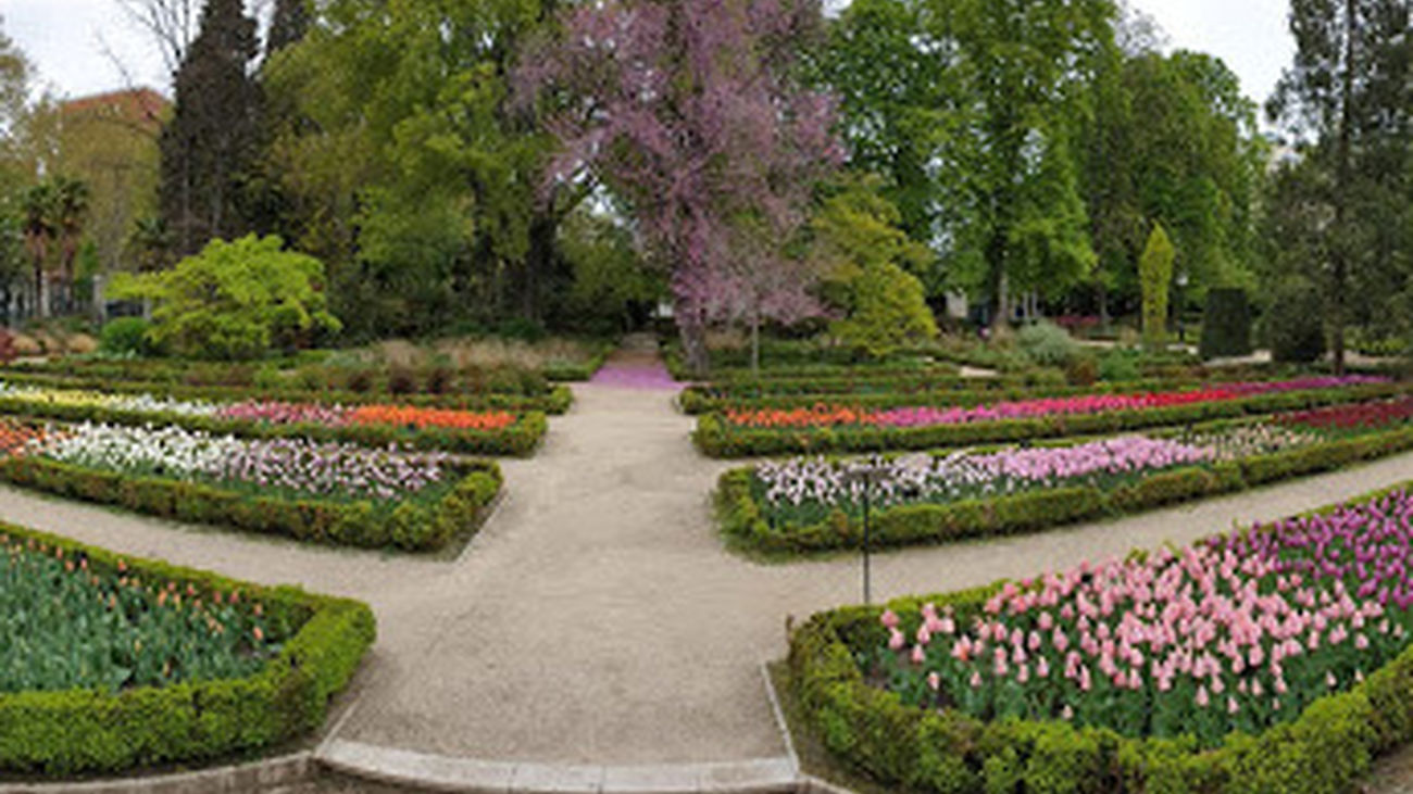 Rosaleda del Real Jardín Botánico de Madrid