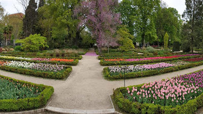 La Rosaleda del Real Jardín Botánico de Madrid  será restaurada por Chanel