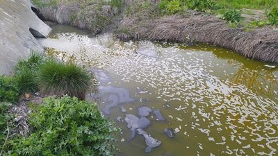 Alarma en Perales del Río por la pestilencia del arroyo de La Abulera
