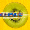 Comer un kiwi ecológico que viene de Nueva Zelanda, ¿es realmente ecológico?