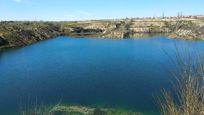 Las lagunas de Ambroz, en San Blas, podrían integrarse en el Bosque Metropolitano