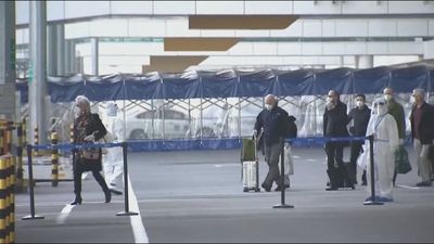 El origen del coronavirus es animal y es improbable que saliera de un laboratorio, según la OMS