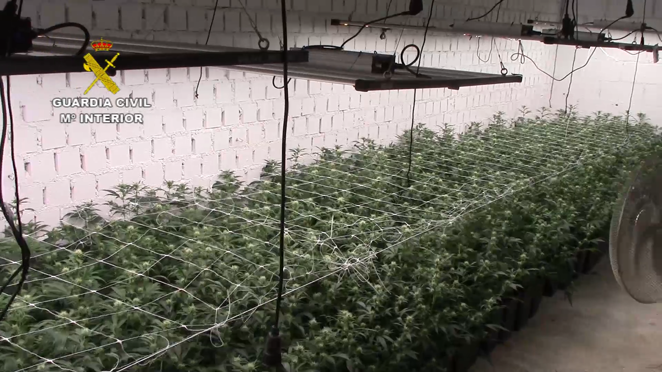 Una construcción subterránea de película para albergar una gran plantación de marihuana