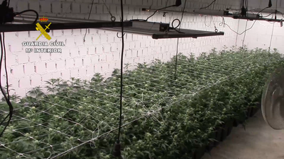 Una construcción subterránea de película para albergar una gran plantación de marihuana