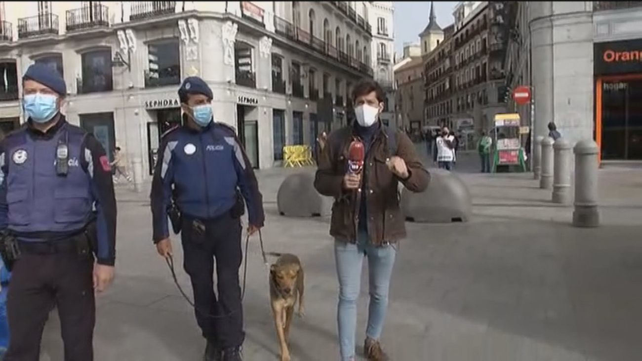 Acompañamos a la Policía Municipal y su unidad canina en el dispositivo de control de aglomeraciones en el centro