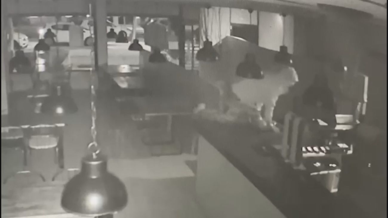 Robo mediante el método del alunizaje en una pizzería de Pozuelo de Alarcón