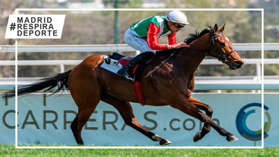 'What's Up', de último a primero, arrasa en el Premio Torre Arias