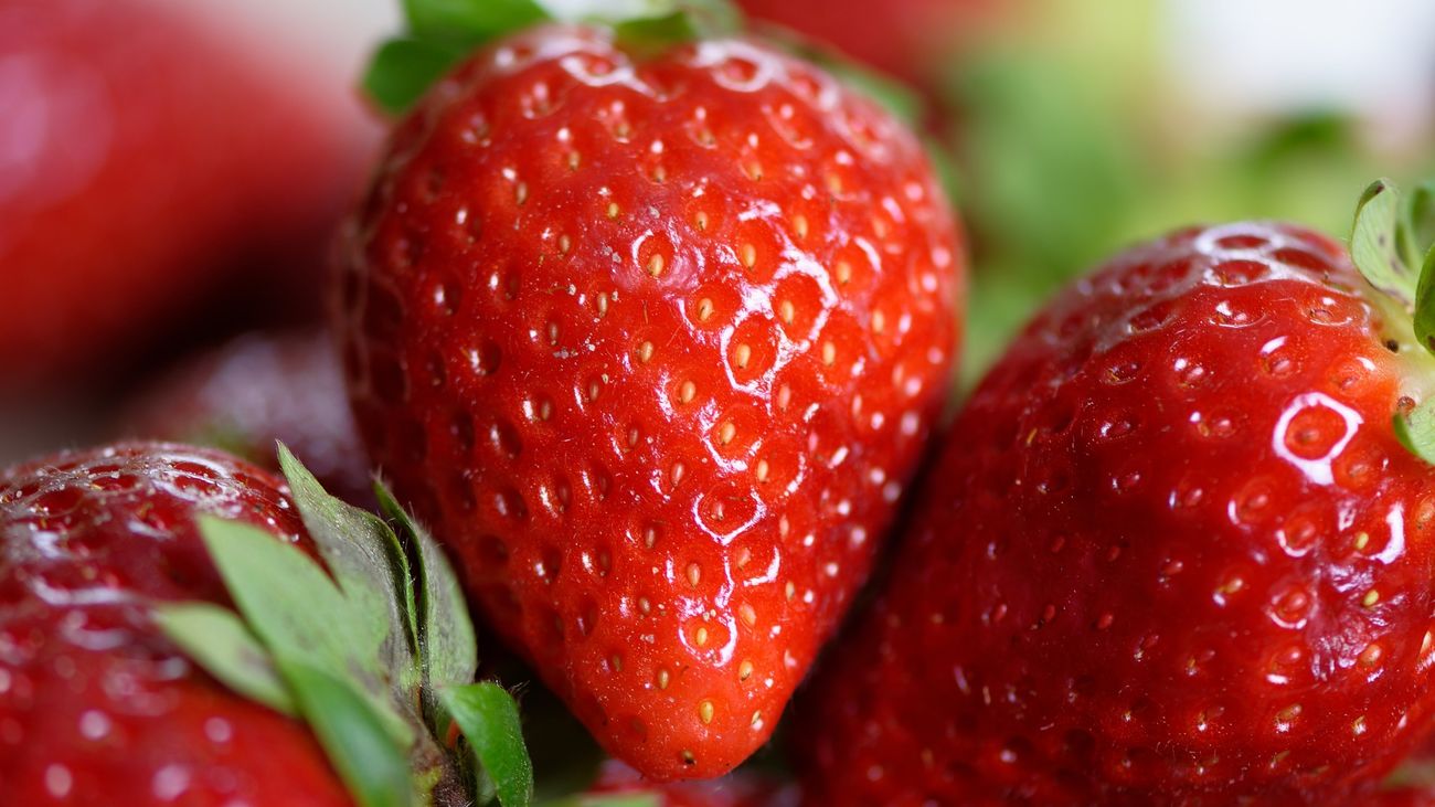 Todo lo que debes saber de las fresas: Beneficios, conservación y recetas