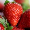 Todo lo que debes saber de las fresas: Beneficios, conservación y recetas