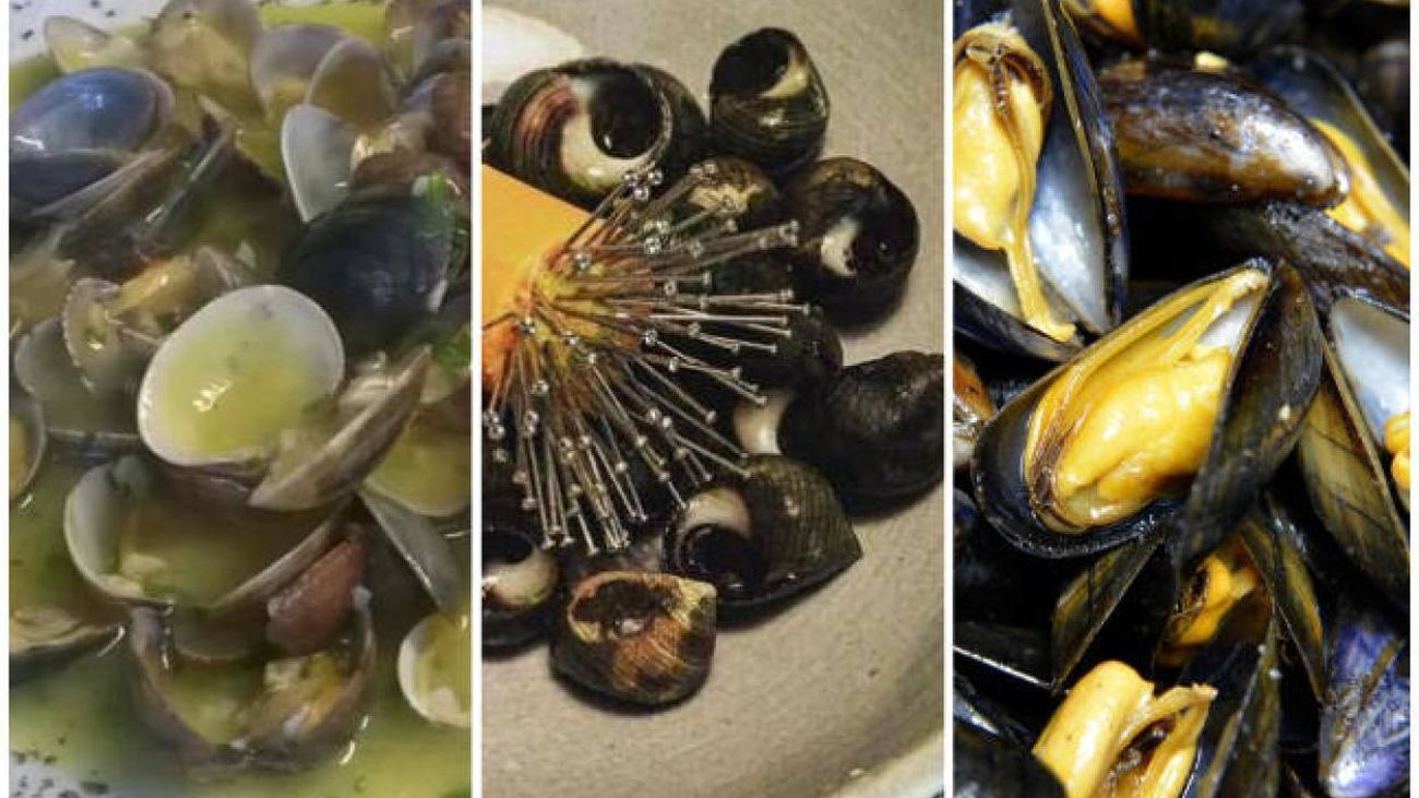 Bivalvos: aprende a cocinar estas maravillas del mar
