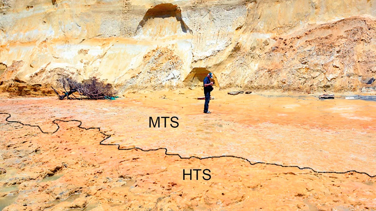 Encuentran en Doñana las primeras huellas de nerdentales de la Península Ibérica