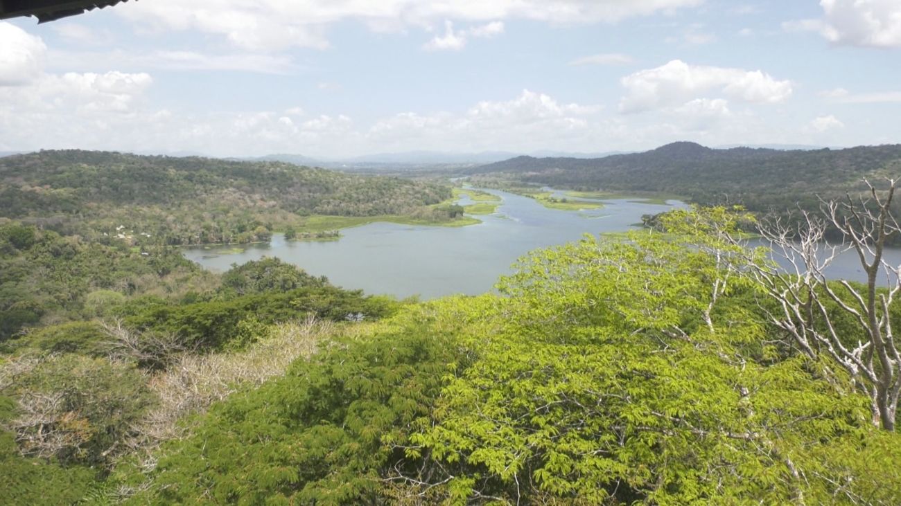 Visitamos el Parque nacional Soberanía, en Panamá