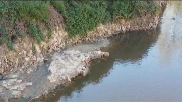 Los patos comen toallitas y basura en el río Jarama, donde se vierten aguas residuales sin depurar