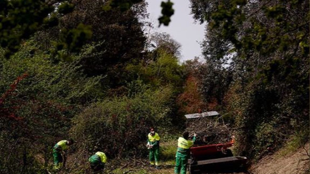 Las labores de mantenimiento y limpieza de  los barrancos naturales de Las Rozas se prolongará hasta finales de junio