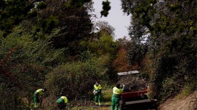 Las labores de mantenimiento y limpieza de  los barrancos naturales de Las Rozas se prolongarán hasta finales de junio