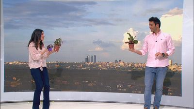 Madrid Directo 10.04.2021