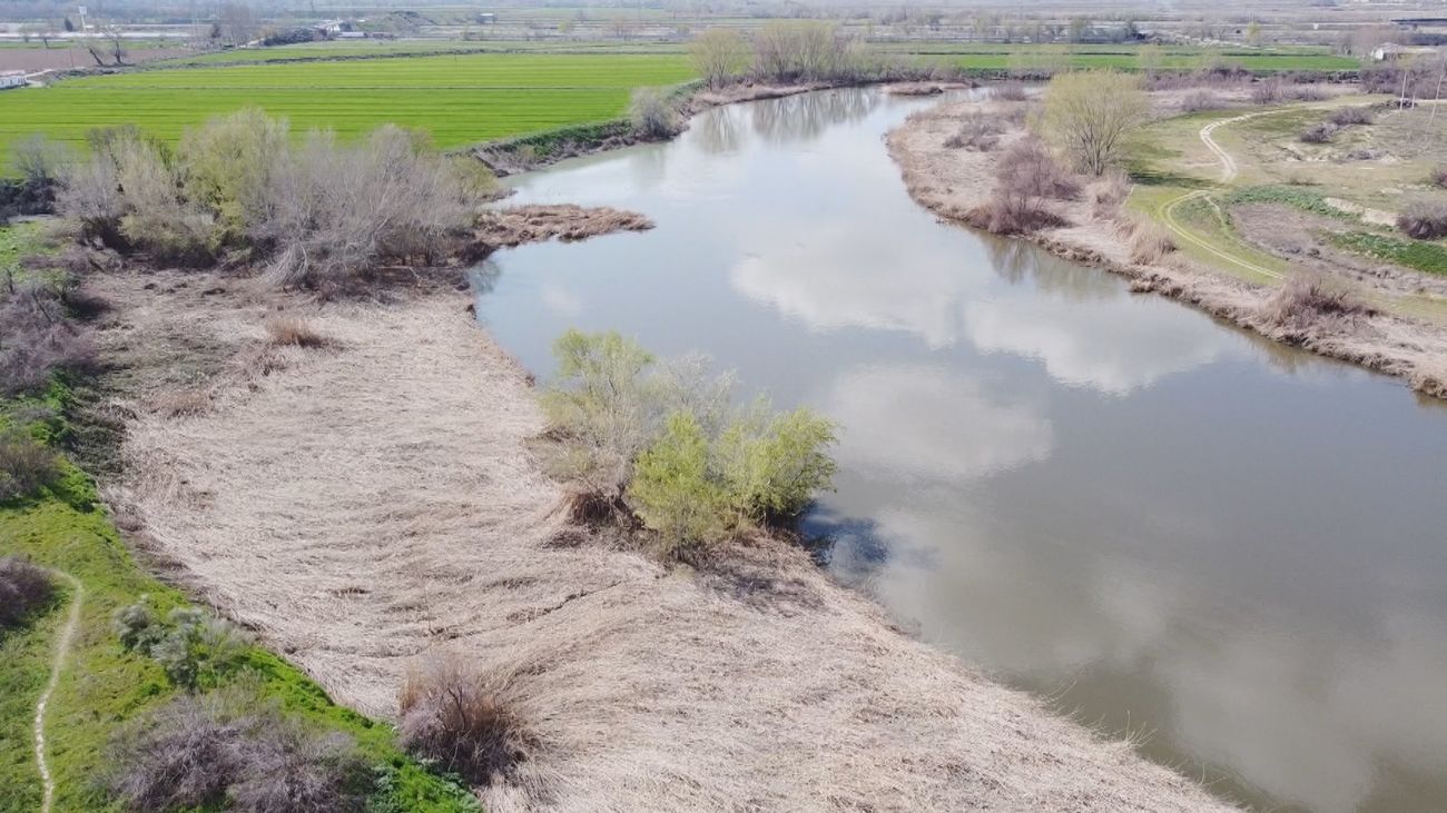 Mi cámara y yo: El río Jarama