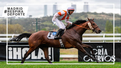 'Danko' exhibe clase y 'Qatar River' superioridad en el Hipódromo de La Zarzuela