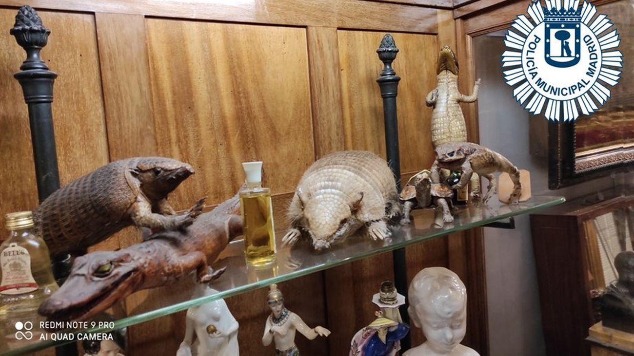 Piezas de marfil intervenidas en dos tiendas de Madrid